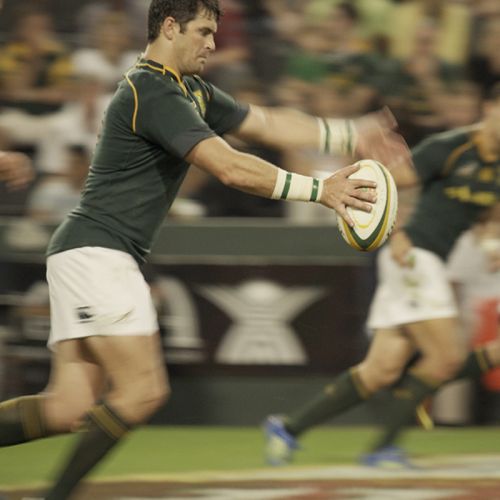 THE SPRINGBOK EXPERIENCE