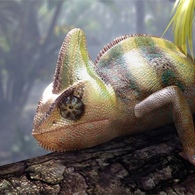 CWOA-04