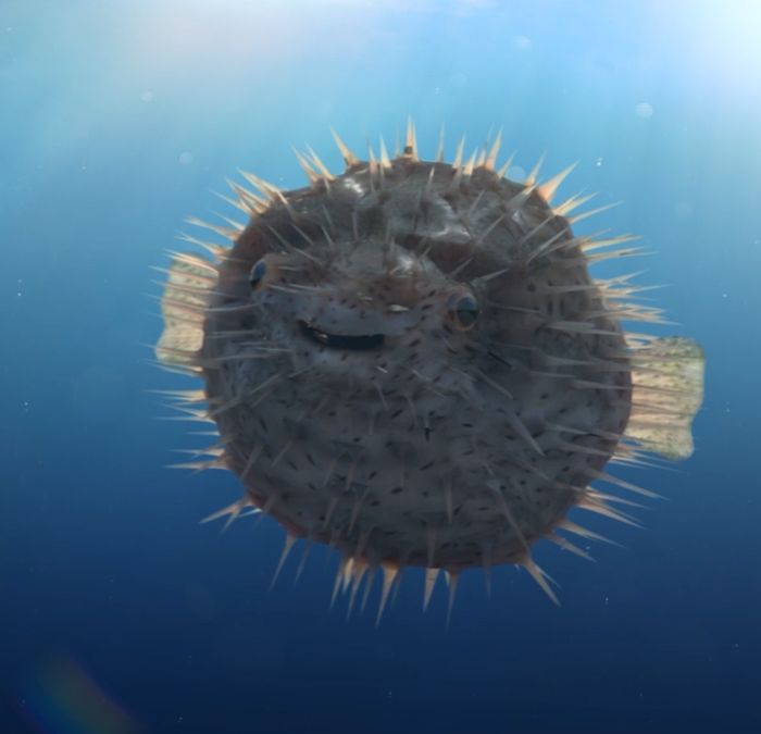 sealifeManchester-04