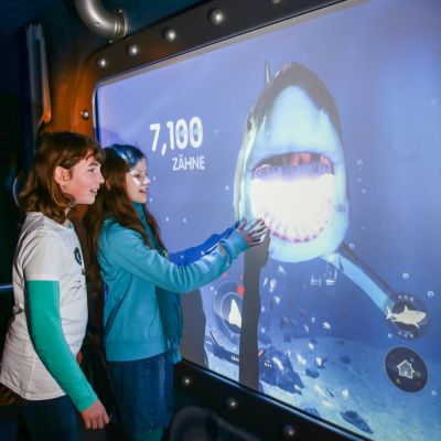 sharkMission-02