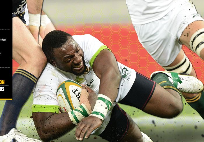 springboks-07