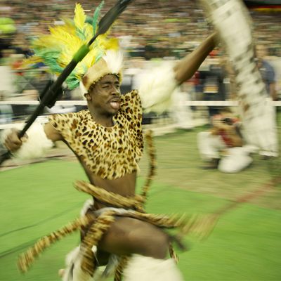 springboks-11