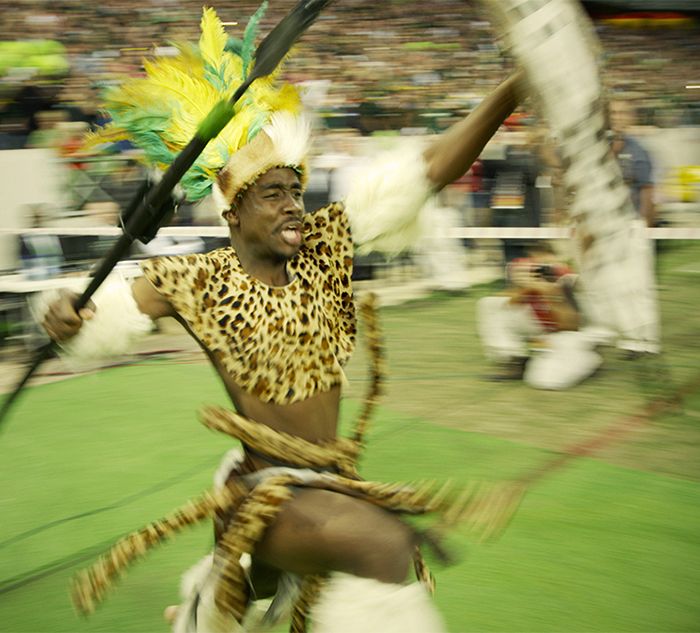 springboks-11