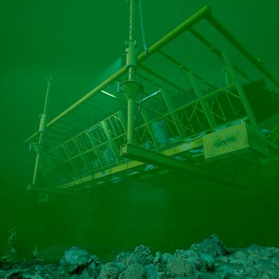 maryRose4D-03