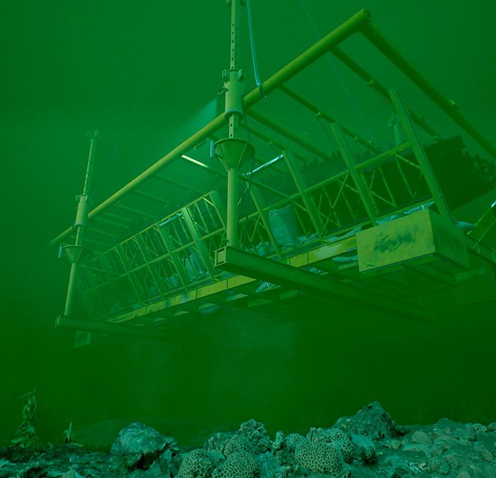 maryRose4D-03
